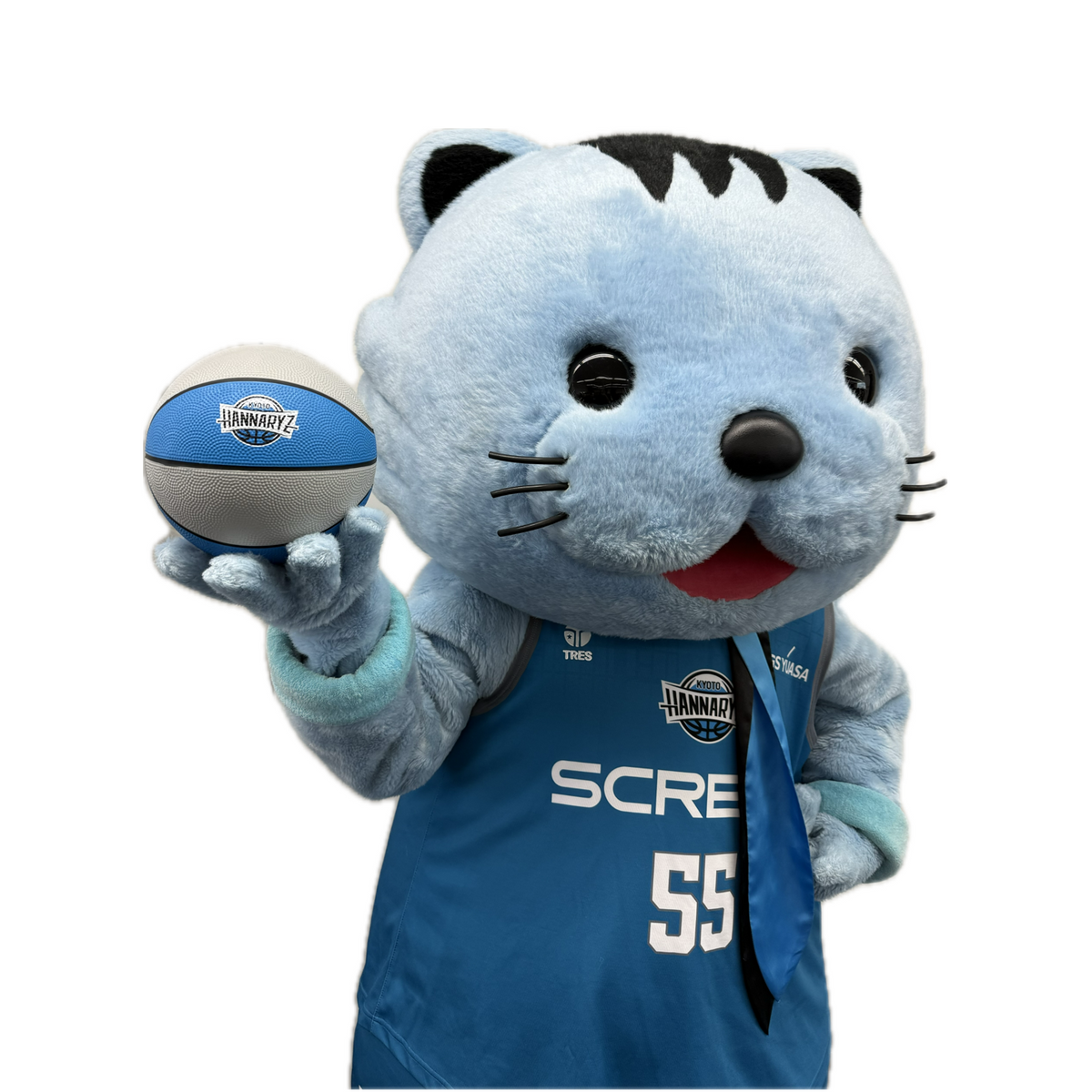 バスケットボール3号球
